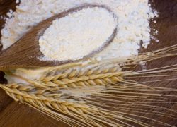 Meelunie wheat starch applications