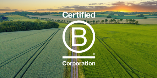 B Corp company