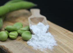Fava bean fiber